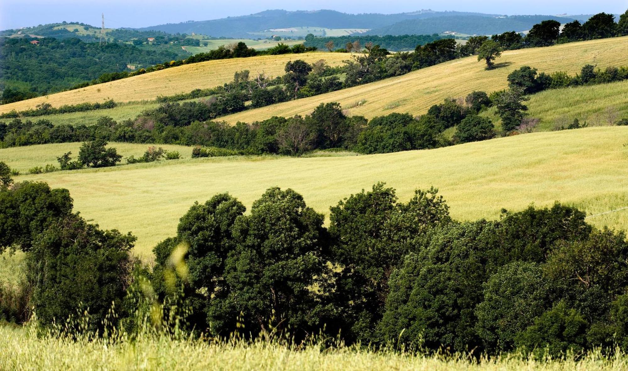 Saturnia Tuscany Country House Exteriör bild